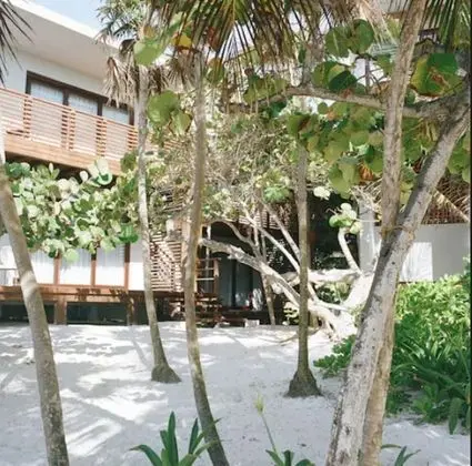 Süit, Plaj Kenarı (Ground floor)