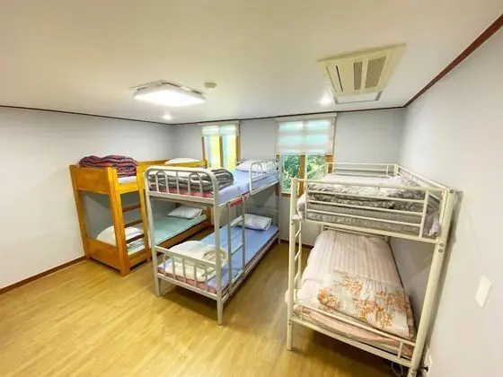 Ortak Ranzalı Oda, Sadece kadınlar için (6 Beds)