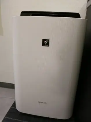 Standard Tek Büyük Yataklı Oda, Sigara İçilebilir