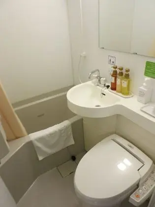 Standard Tek Büyük Yataklı Oda, Sigara İçilebilir