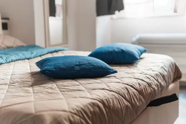 Deluxe Tek Büyük Yataklı Oda (Cloe)