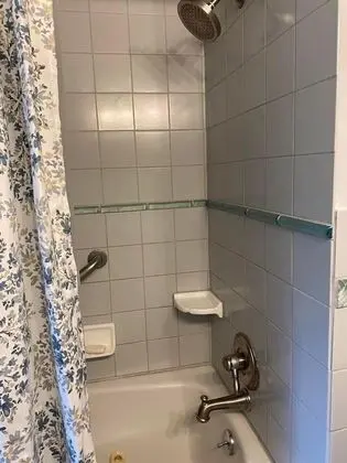 Deluxe Ev, 1 Yatak Odası, Banyolu/Duşlu, Zemin Kat