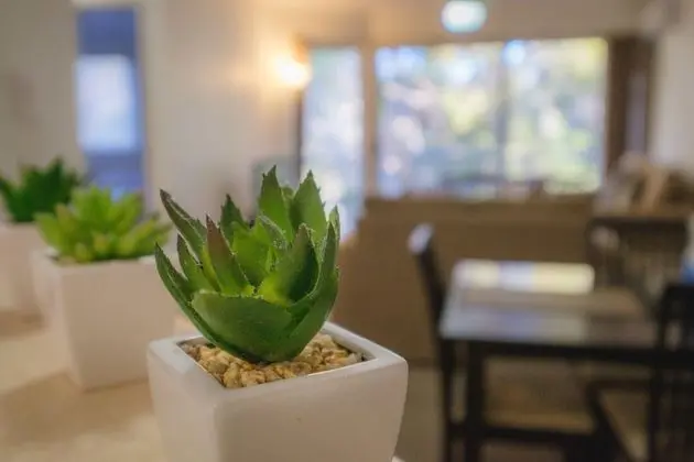 Apart Daire, 2 Yatak Odası, Bahçe Manzaralı (Air Con)