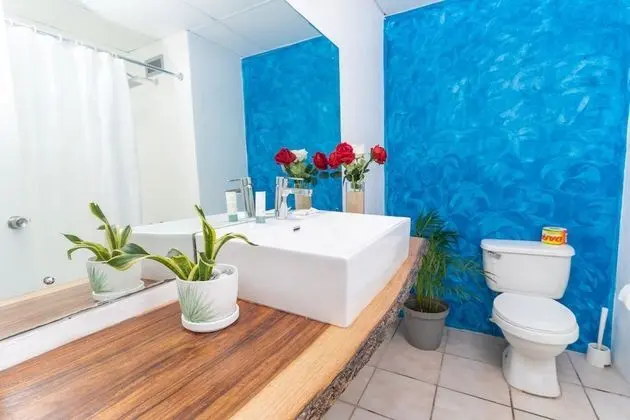 Superior Oda