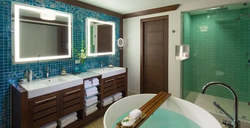 Luxury Süit, 1 Yatak Odası, Bahçe Manzaralı (Crystal Lagoon Luxury Suite)