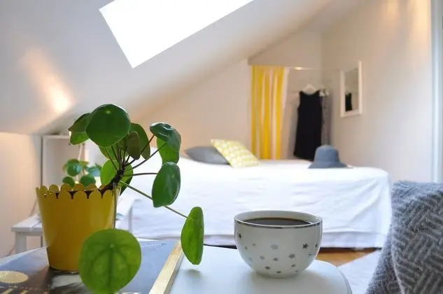 Standard İki Ayrı Yataklı Oda, Ortak Banyo