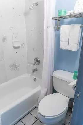 Standard Tek Büyük Yataklı Oda, Sigara İçilebilir