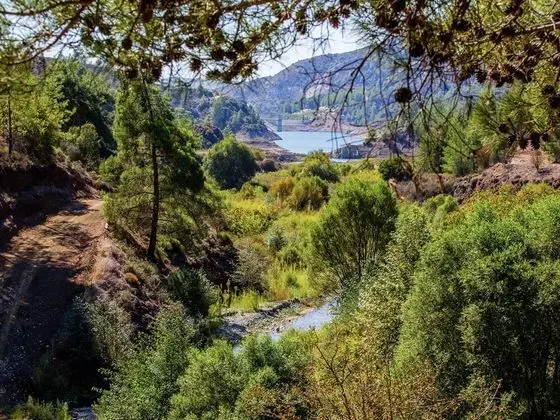 Ev, 5 Yatak Odası, Veranda