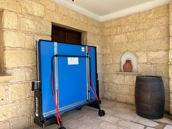 Villa, Birden Çok Yatak Odası, Şömine