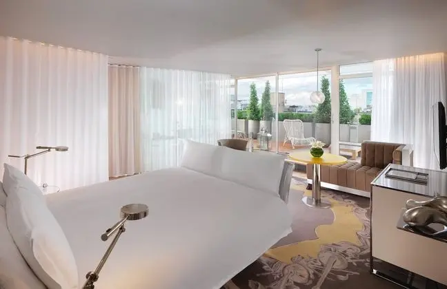 Süit, Teras (Loft)