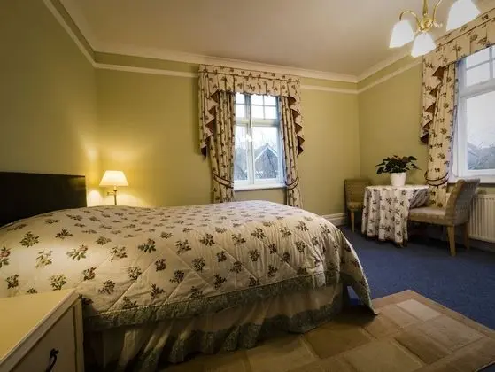 Tek Büyük Yataklı Oda, Banyolu/Duşlu (Room only)