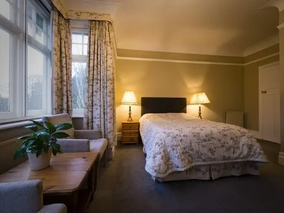 Tek Büyük Yataklı Oda, Banyolu/Duşlu (Room only)