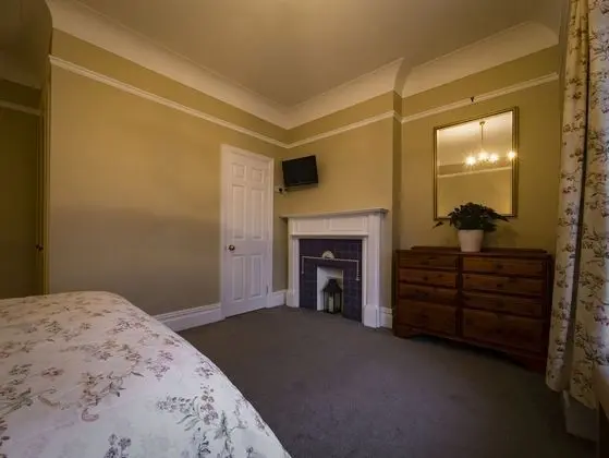 Tek Büyük Yataklı Oda, Banyolu/Duşlu (Room only)