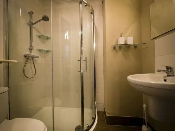 Tek Büyük Yataklı Oda, Banyolu/Duşlu (Room only)