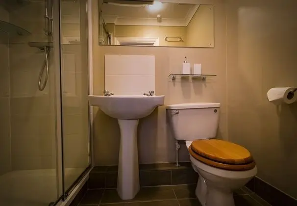 Tek Büyük Yataklı Oda, Banyolu/Duşlu (Room only)