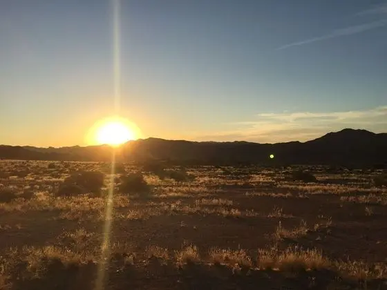 Standard Tek Büyük veya İki Ayrı Yataklı Oda, Dağ Manzaralı