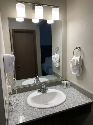 Oda, 1 Büyük (Queen) Boy Yatak, Engellilere Uygun, Sigara İçilmez (Mobility, Tub w/Grab Bars)