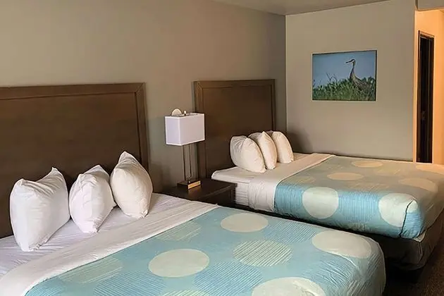 Oda, 2 Büyük (Queen) Boy Yatak, Sigara İçilmez (Pet-Friendly)