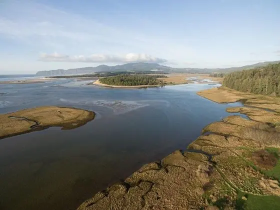 Ev, 2 Büyük (Queen) Boy Yatak (The Sandlake View)