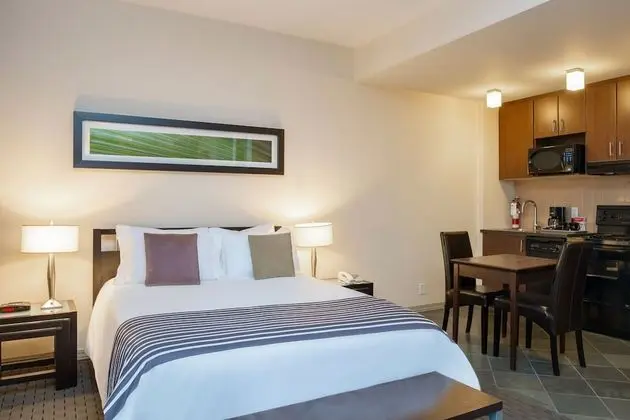 Stüdyo Süit (Penthouse)