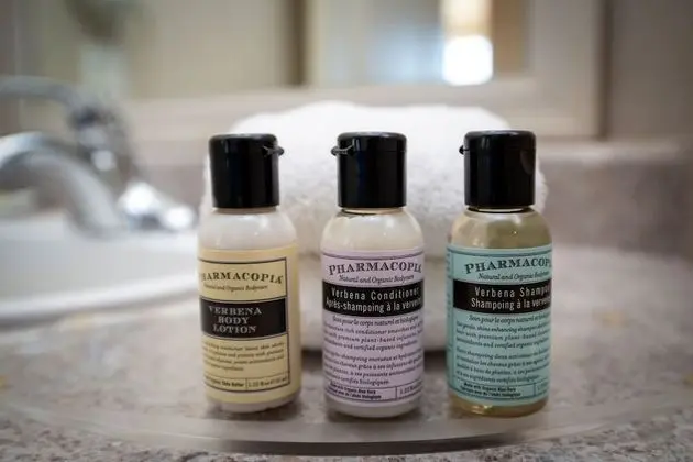 Standard Süit, 1 En Büyük (King) Boy Yatak ve Çekyat, Mutfak (View)