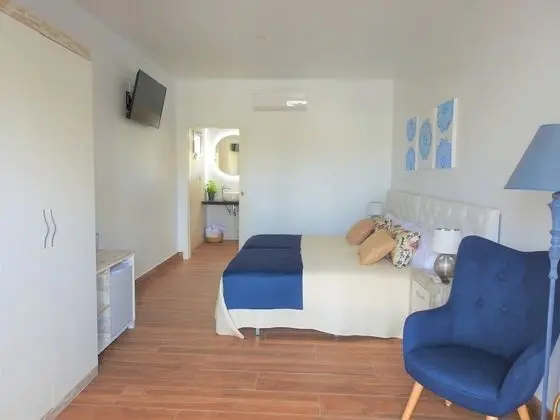 Superior Tek Büyük Yataklı Oda, Özel Banyo, Bahçe Manzaralı