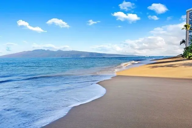 Daire, 3 Yatak Odası