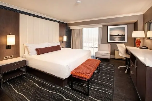Premium Executive Suite I Hearing/Visual