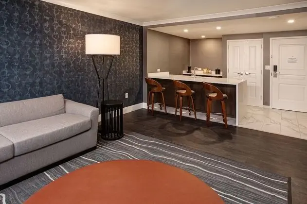 Premium Executive Suite I Hearing/Visual