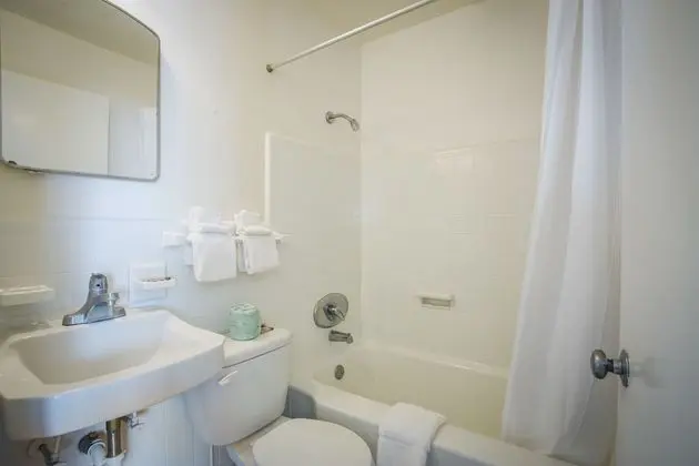 Deluxe Apart Daire, 1 Yatak Odası, Havuz Kenarı