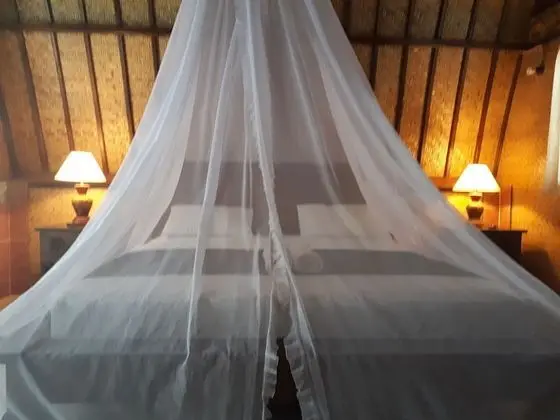 Superior Bungalov, Havuz Manzaralı