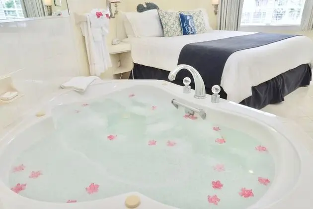 Deluxe Süit, 1 En Büyük (King) Boy Yatak ve Çekyat, Mutfak (Deluxe Suite, 1 King Bed with Sofabed)