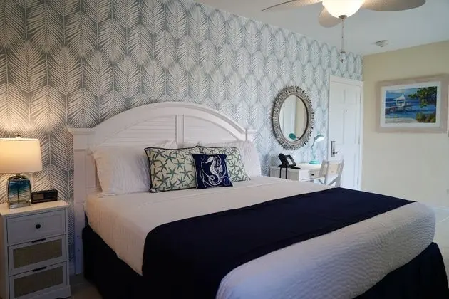 Stüdyo, 1 En Büyük (King) Boy Yatak, Küçük Mutfak (Studio Suite, 1 King Bed, Kitchenett)