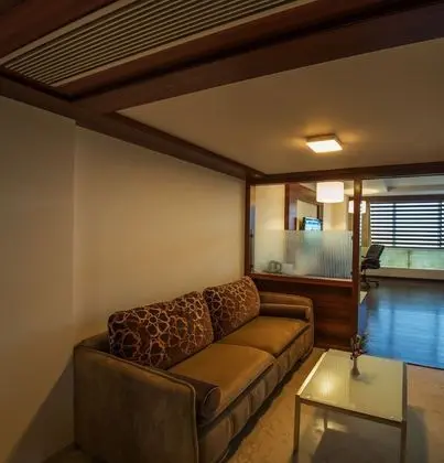 Executive Tek Büyük Yataklı Oda, 1 En Büyük (King) Boy Yatak, Sigara İçilmez, Şehir Manzaralı