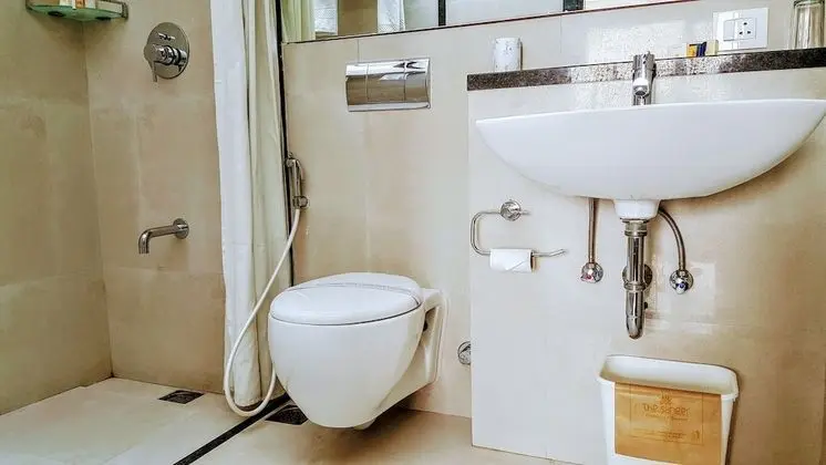 Deluxe Oda, 1 Çift Kişilik Yatak