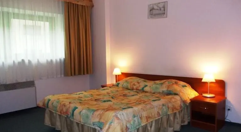 1 Çift Kişilik Veya 2 Tek Kişilik Yatak Business