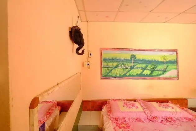 Standard Double Room with Air-conditioner