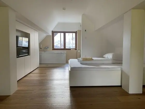 Panoramic Çatı Katı Süiti (Penthouse), 1 Yatak Odası