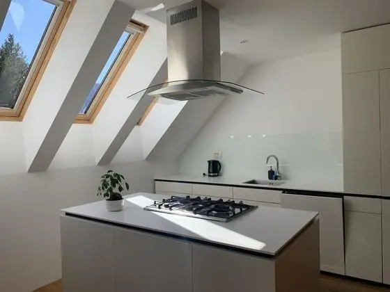 Panoramic Çatı Katı Süiti (Penthouse), 1 Yatak Odası