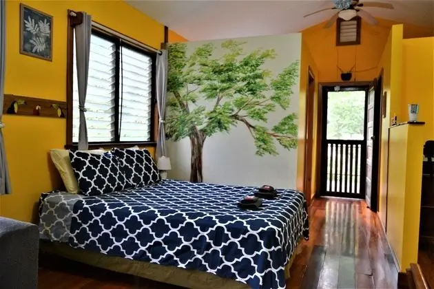 Stüdyo, 1 Yatak Odası, Balkon