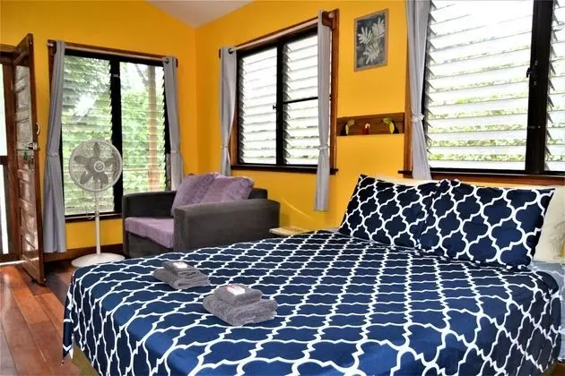 Stüdyo, 1 Yatak Odası, Balkon