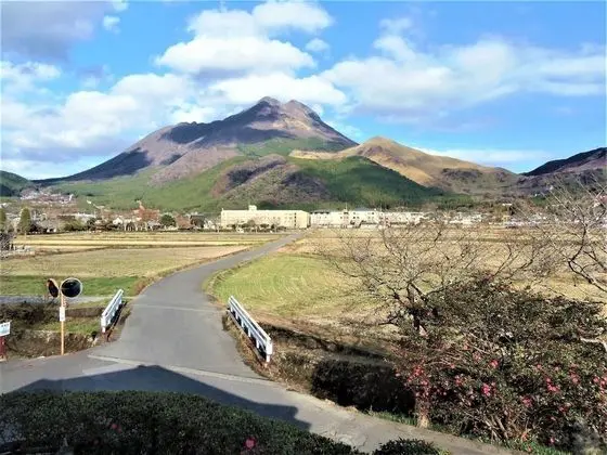 Standard Oda, Sigara İçilmez (1-2 guests,Adult Only,JapaneseWestern)