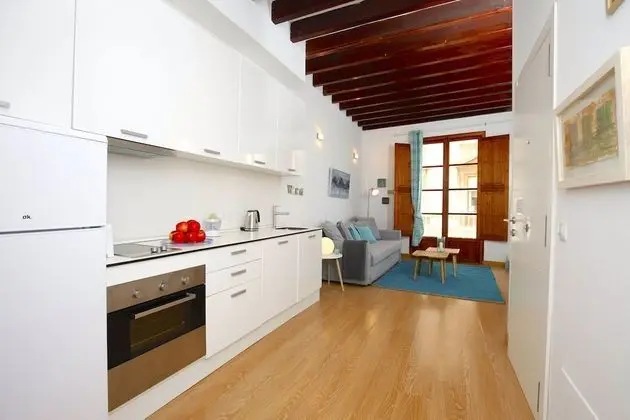 Apart Daire, 1 Yatak Odası, Balkon