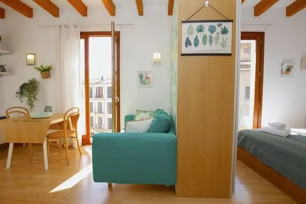 Stüdyo, 1 Çift Kişilik Yatak, Balkon