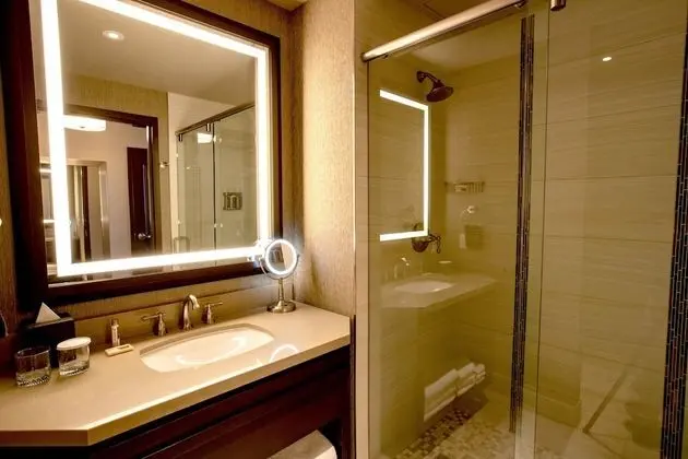 Luxury Oda, 1 En Büyük (King) Boy Yatak