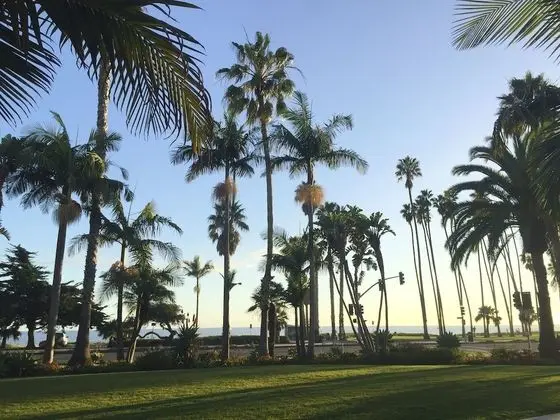 Stüdyo, Kısmi Deniz Manzarası