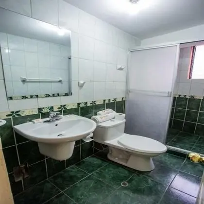 Tek Büyük Yataklı Oda, 1 Çift Kişilik Yatak, Banyolu/Duşlu