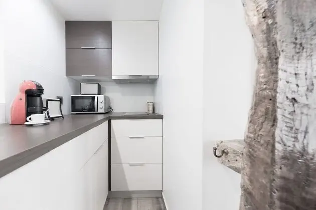 Apart Daire, 1 Yatak Odası, Sigara İçilmez