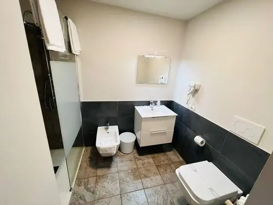 Superior Tek Büyük Yataklı Oda