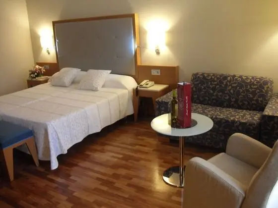 Superior Tek Büyük Yataklı Oda, Engellilere Uygun